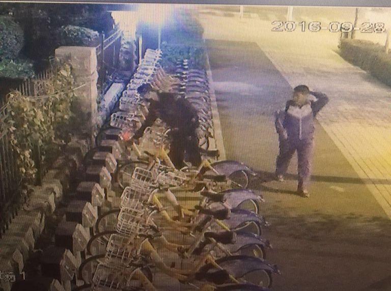 9001cc金沙以诚为本(中国)有限公司官网