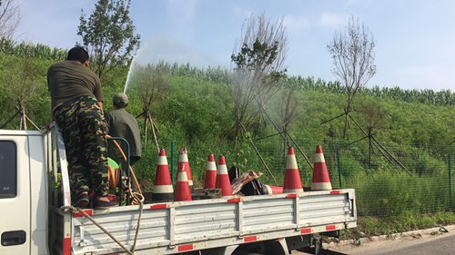 9001cc金沙以诚为本(中国)有限公司官网