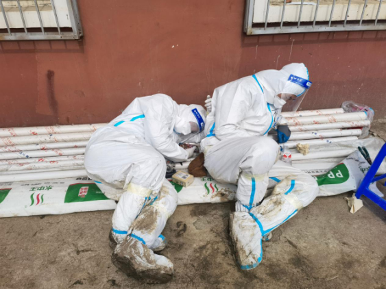 9001cc金沙以诚为本(中国)有限公司官网