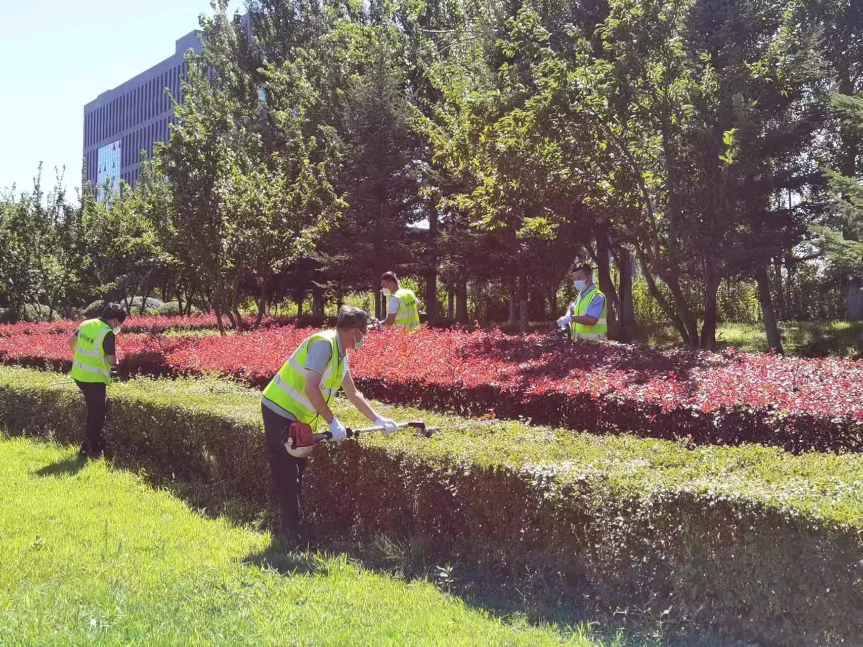 9001cc金沙以诚为本(中国)有限公司官网