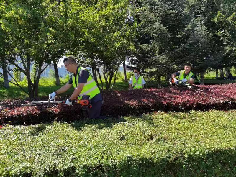 9001cc金沙以诚为本(中国)有限公司官网