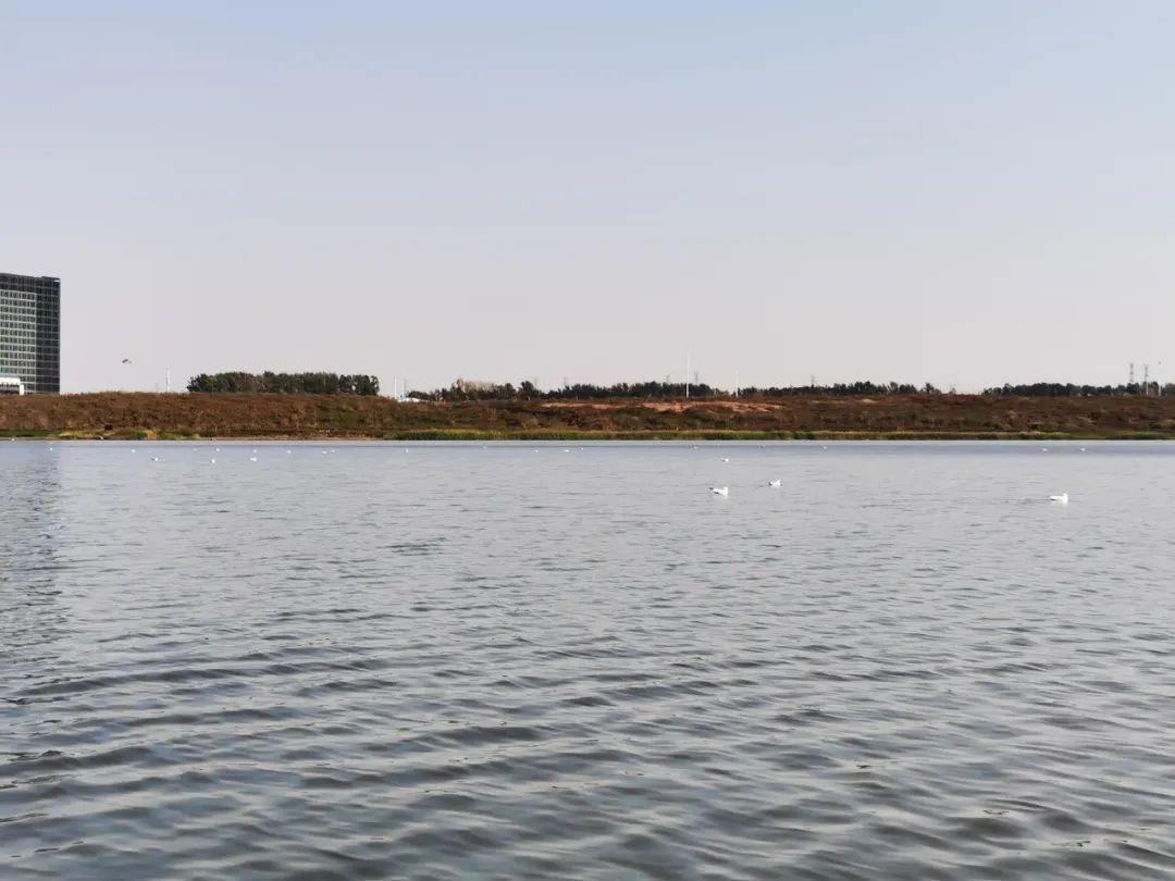 9001cc金沙以诚为本(中国)有限公司官网